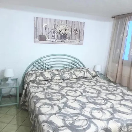 - Paradisiacal Beaches And Services San Teodoro